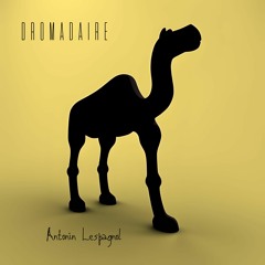 DROMADAIRE