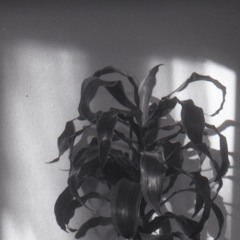 Plate Drift - Radio Angrezi - 05/05/22