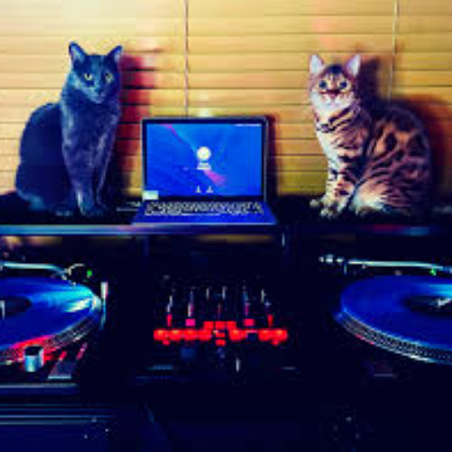 Phat electro house set