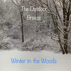 Winter in the Woods
