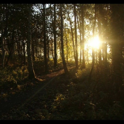 Stream Damian Boduch Zrzuć na mnie troski swe (Fountains by Jon