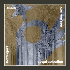 Coqui Selection - Can You See (Original MIx)