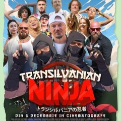 Transilvanian Ninja — FILM!. ONLINE SUBTITRAT IN ROMÂNĂ