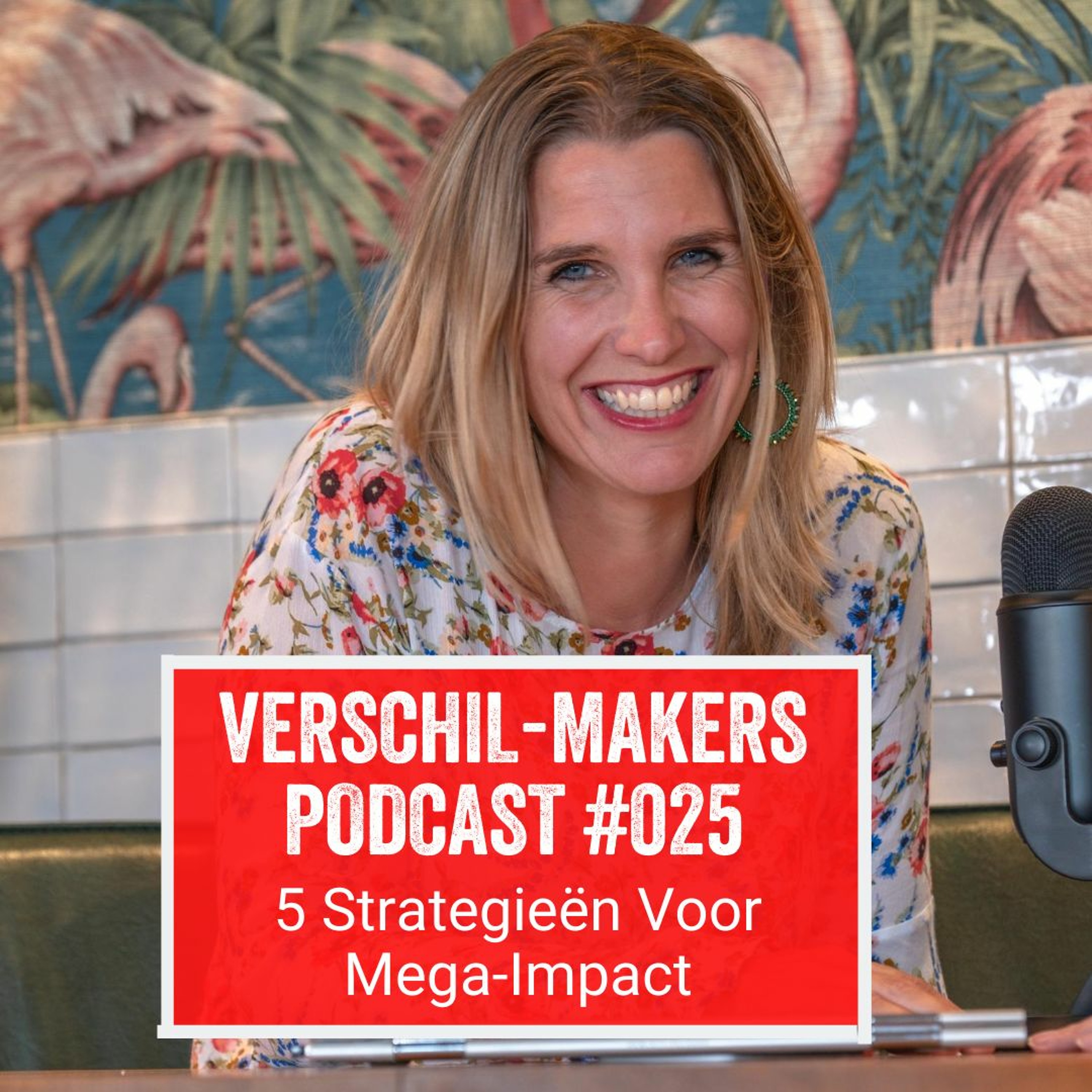 Verschil-Makers Podcast