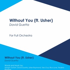 Without You (David Guetta ft. Usher)