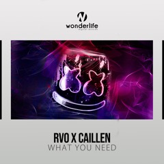 What You Need (Original Mix)