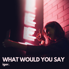 igor - What Would You Say