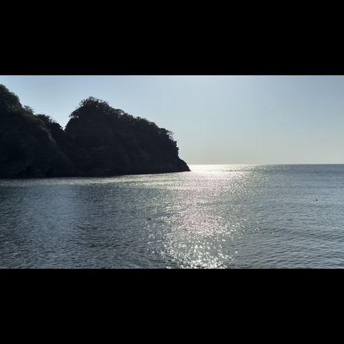 01 バカの雄叫び