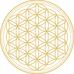 Mezmorize (2nd draft)