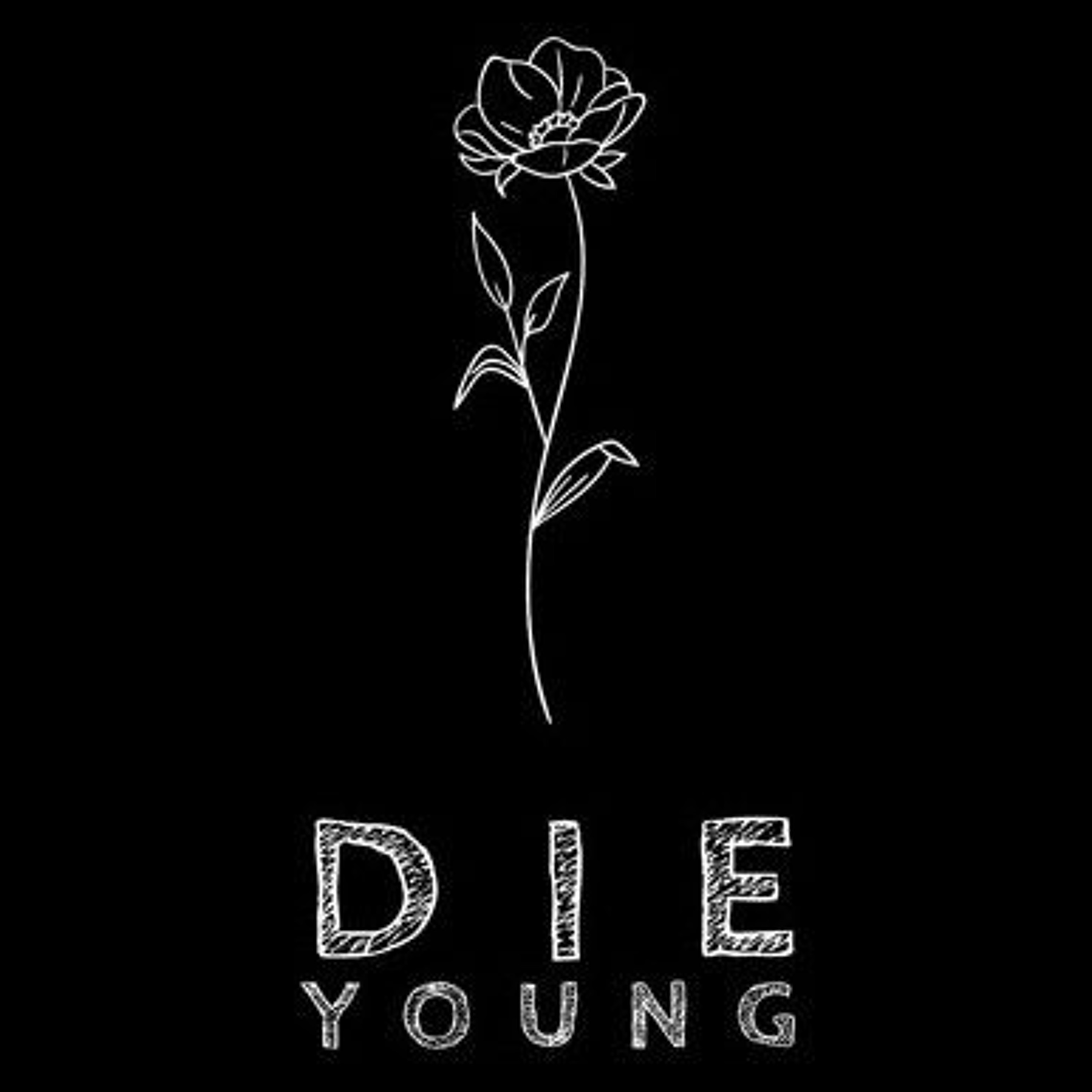 Track cover