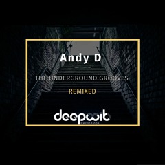 Andy D - The Underground Groove (BiG AL Remix) - DeepWit Recordings