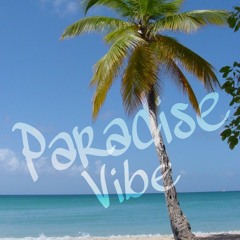 Shoddy_Skillz_-_Paradise_Vibe_(Prod._JaySibling).mp3