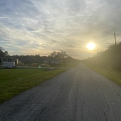 Bonzai...@guest (oldshytremixed)