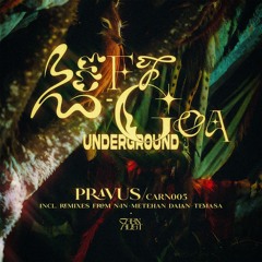 Left-Goa Underground LP - Pravus [CARN005] Incl. Remixes from N:in, Metehan Dalan, Temasa