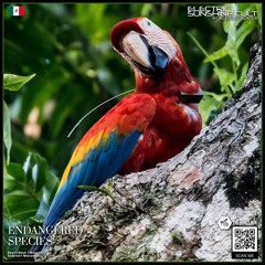 Spyritümm - Scarlett Macaw (ESC EXCLUSIVE)