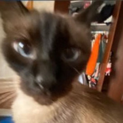 ‎⁨شيلة إقلاعية بأمتياز   ياقبايل حرب .. الدول ناطا على روس أكابرها   ماجد الرسلاني   [ytmp3.ac]⁩