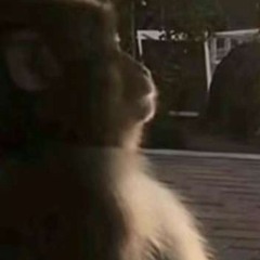 DLM (feat. B’Shyne)