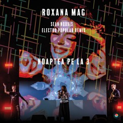 Roxana Mag - Noaptea Pe La 3 (Sean Norvis Electro Popular Radio Edit)