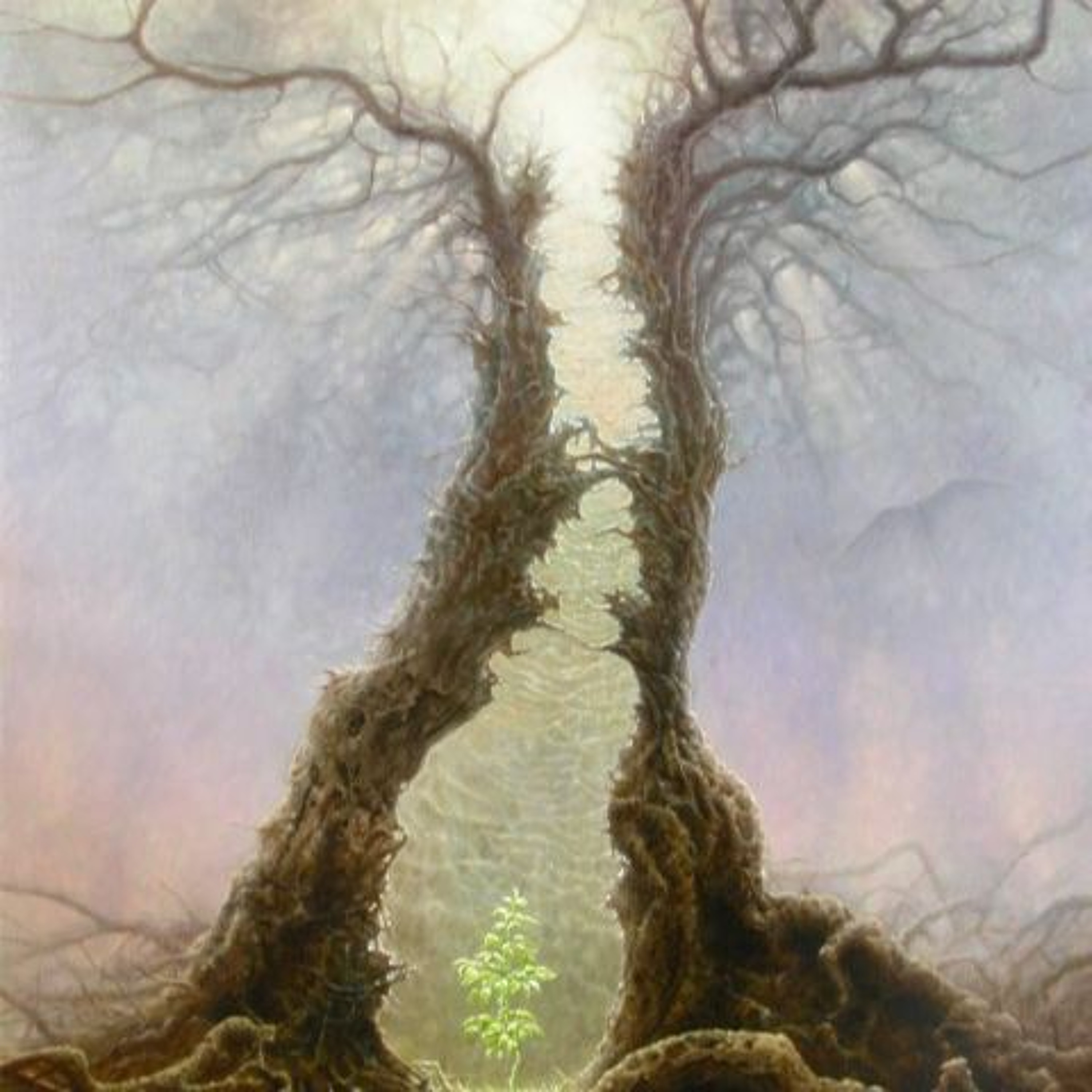 The Persephone Program: Astrology & More