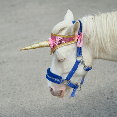 Станем волнами