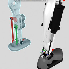 Ankle Deep: What is the Best Design for a Humanoid Ankle?