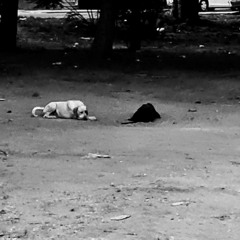 1234 (prod. sogimura)