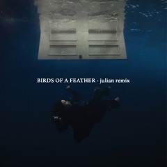 BIRDS OF A FEATHER (Julian remix)