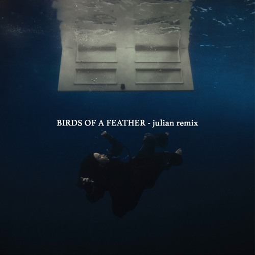 BIRDS OF A FEATHER (Julian remix)