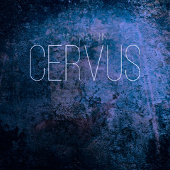 6 - C. e. hippelaphus - Dark Forest