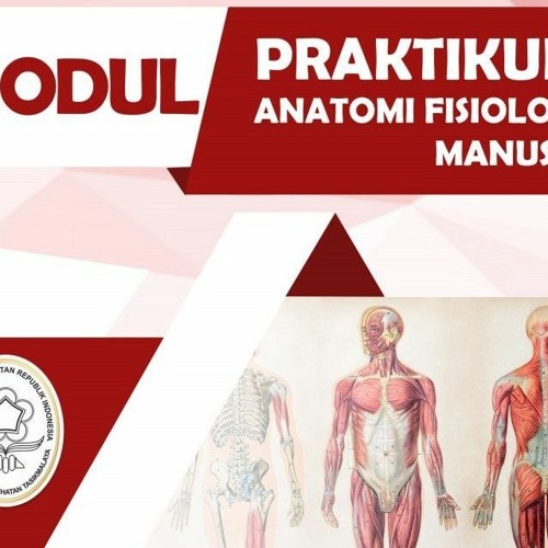 Stream Download Ebook Anatomi Dan Fisiologi Untuk Paramedis [UPD] from Paula Scott Listen