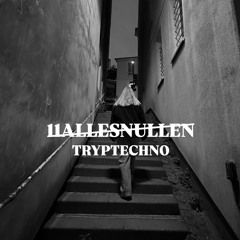 11ALLESNULLEN (Tryptaj Techno Remix)