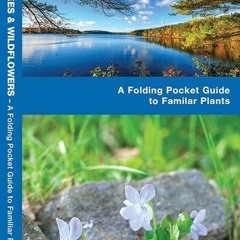 [READ]⚡PDF✔ Rhode Island Trees & Wildflowers: A Folding Pocket Guide to Familiar