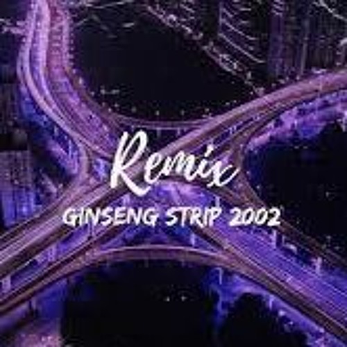 Yung Lean - Ginseng Strip 2002 'bitches Come And Go Brah' (unofficial