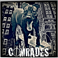 PAWS NOT LAWS [FOLK]