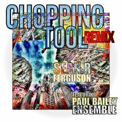 Sean R. Ferguson - Chopping Tool: Dismemberment Plan Remix EP