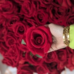 يانسيم الريح