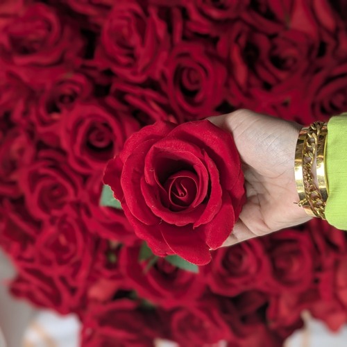 يانسيم الريح