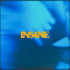 r4wmantik - Ins4ne [FREE DL]