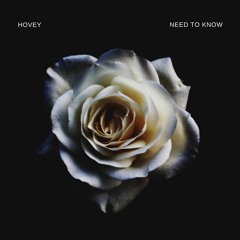 Hovey - Need To Know