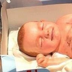 Babycakes - 3 of a kind  (SoyboiB160TLEG) REFRESHED