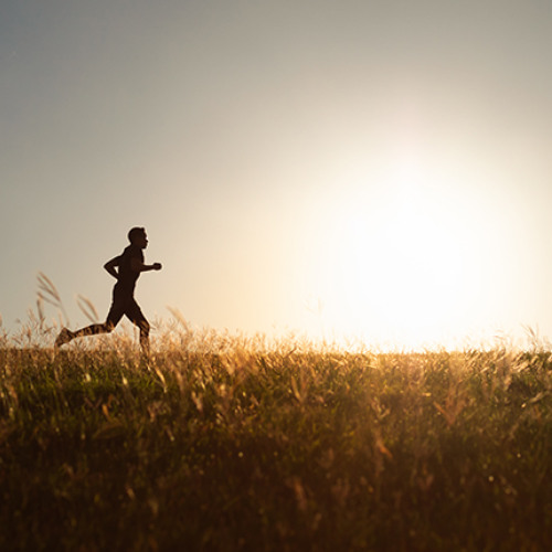 "Endurance: A Difficult but Essential Quality" - Roger MEyer