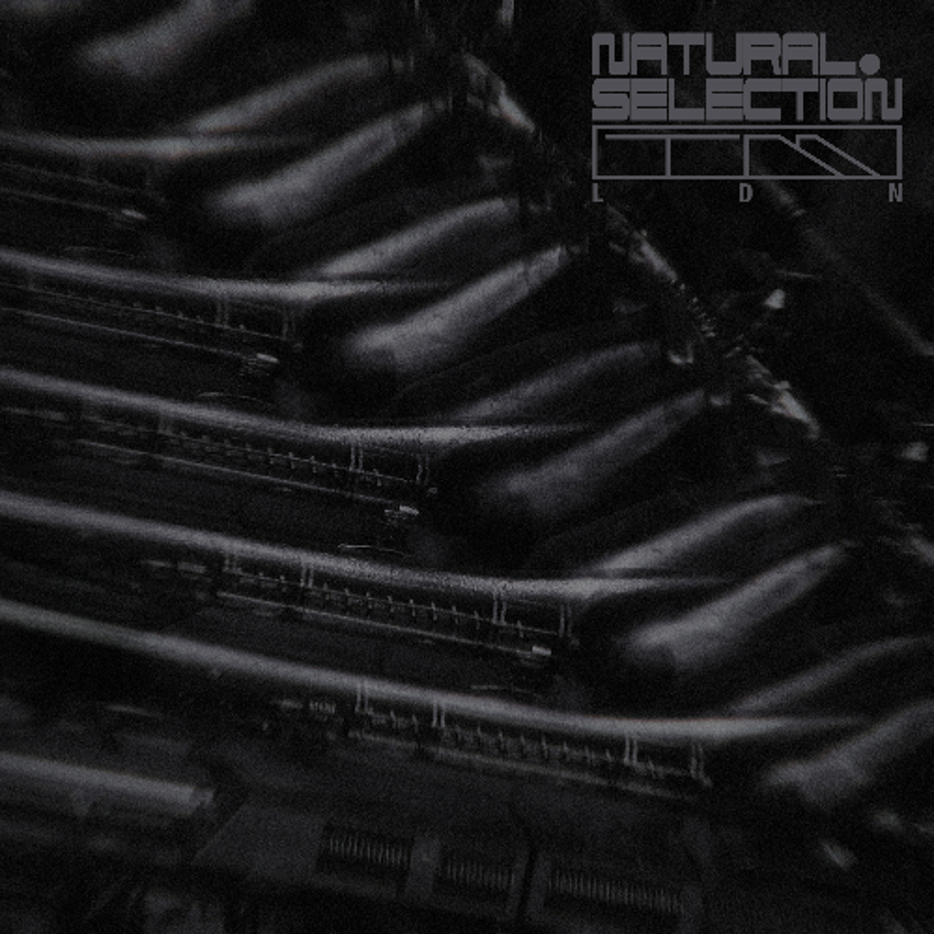 PREMIERE: Swarm Intelligence - Inflate [NS008] episode artwork