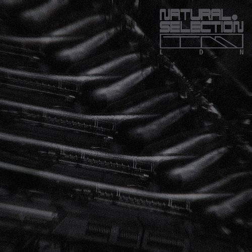 PREMIERE: Swarm Intelligence - Inflate [NS008]