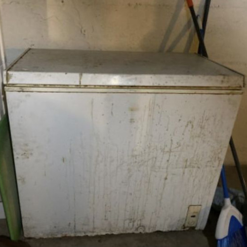 Freezer [video in description]