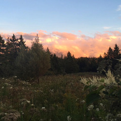 What Do You Want From Me?