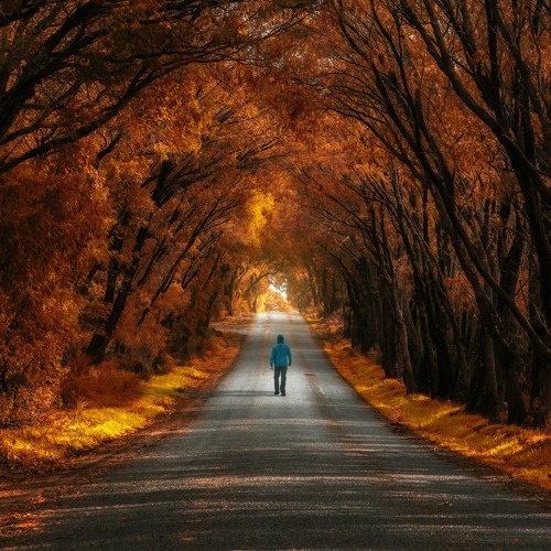 Dima: Braslet (Bracelet), 2013