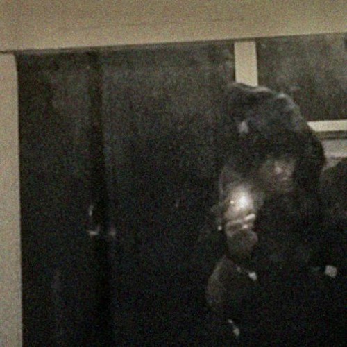 ​woodside gardens 16 december 2012 (originally by Jane Remover)