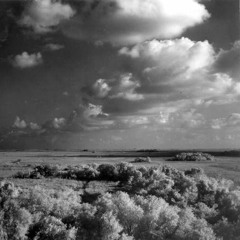 Through The Everglades