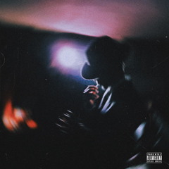 NATURAL LEADER PROD. NVFNAL