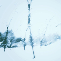 シャーロット (ART-SCHOOL cover)